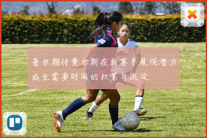 普尔期待费尔斯在新赛季展现潜力成长需要时间的积累与沉淀