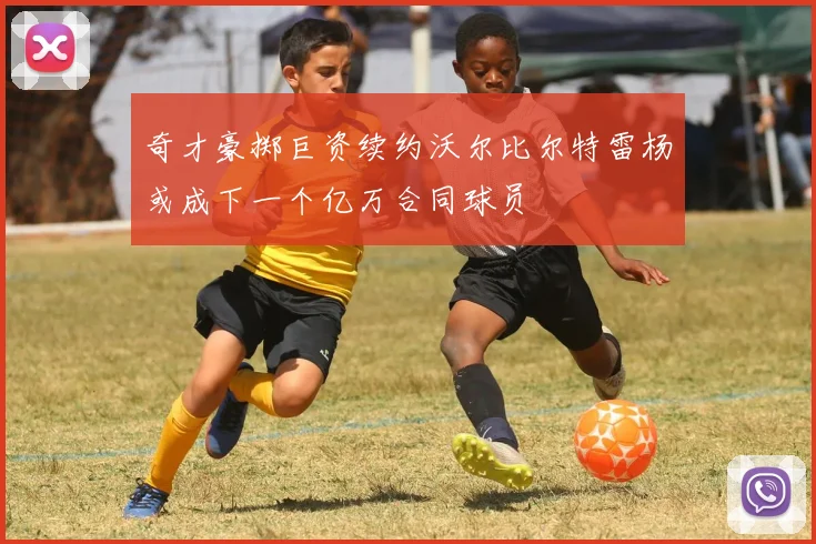 奇才豪掷巨资续约沃尔比尔特雷杨或成下一个亿万合同球员