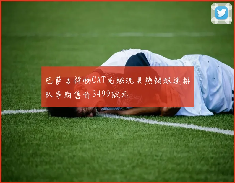 巴萨吉祥物CAT毛绒玩具热销球迷排队争购售价3499欧元