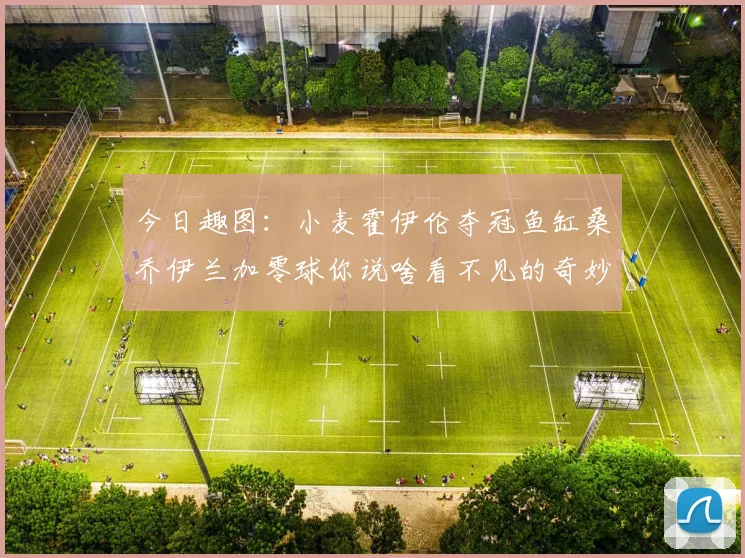 今日趣图：小麦霍伊伦夺冠鱼缸桑乔伊兰加零球你说啥看不见的奇妙瞬间